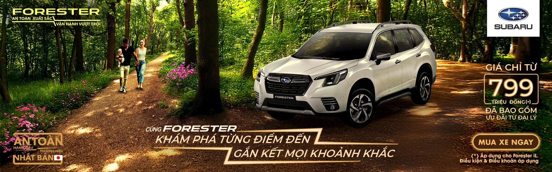 Promotion Banner
