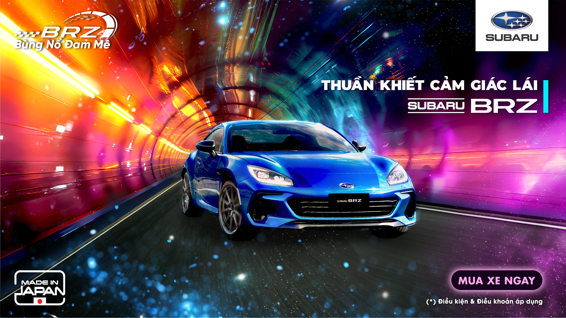 Promotion Banner