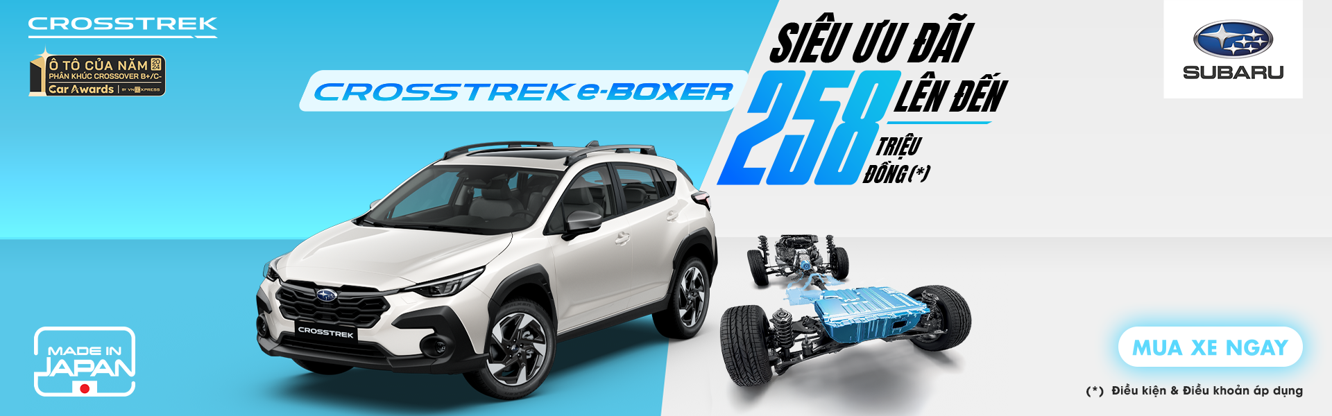 Promotion Banner