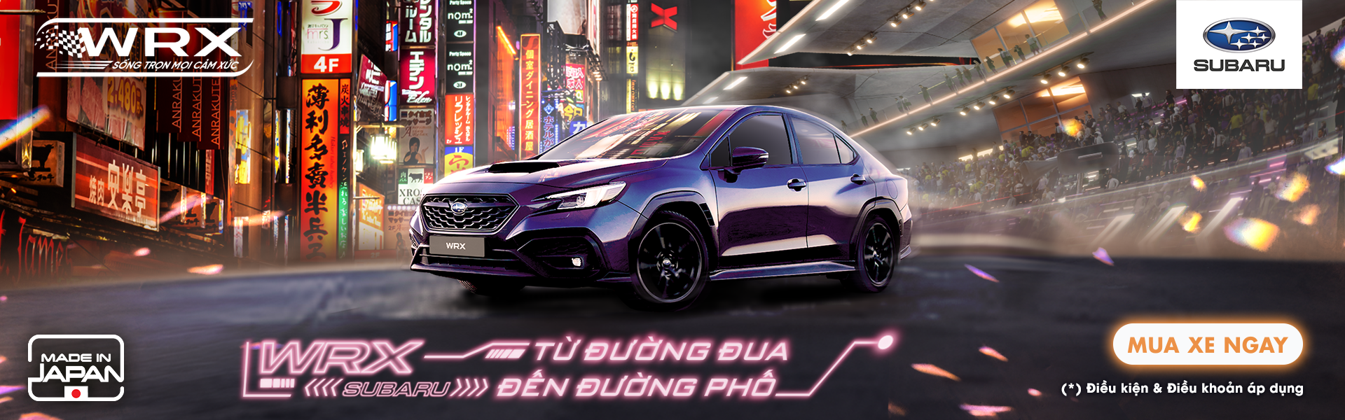 Promotion Banner