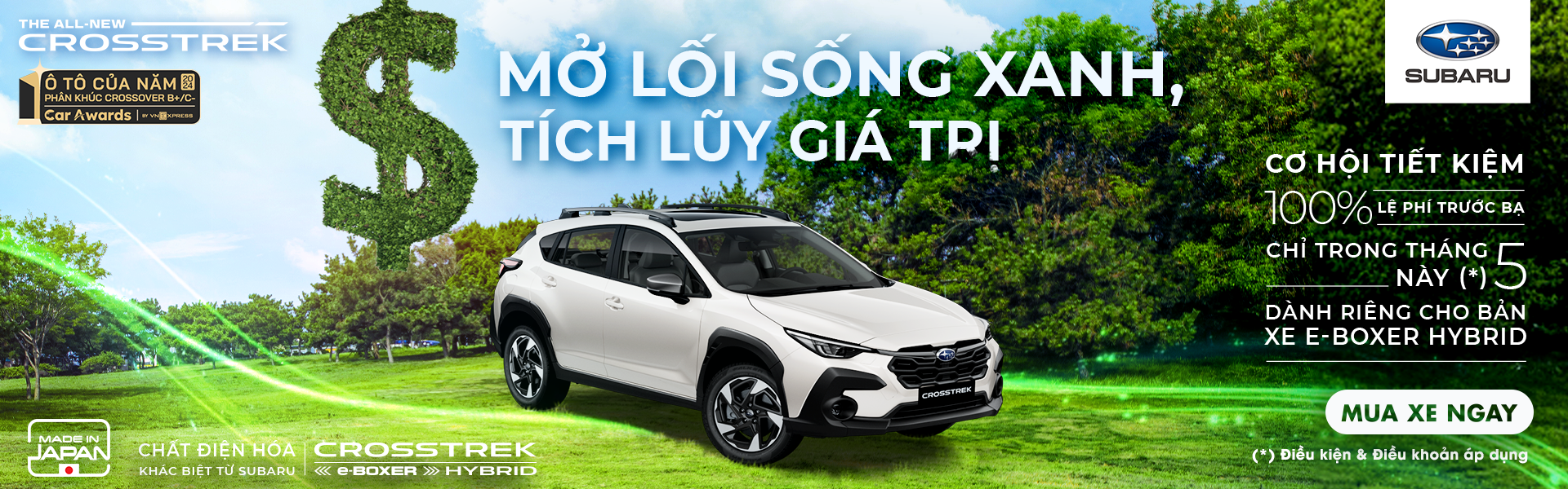 Promotion Banner